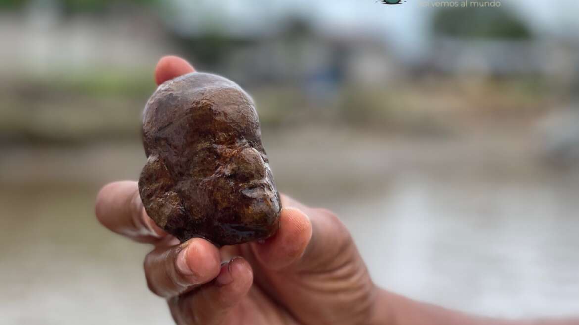 La Tolita Pampa de Oro: Tesoros, ríos e historia del Ecuador