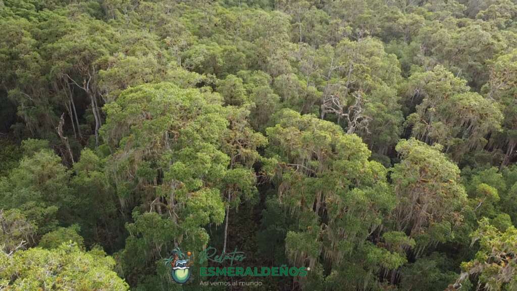 Reserva Ecologica Manglares Cayapas-Mataje