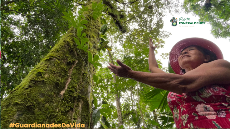 El sueño de un mundo más verde puede empezar con un árbol