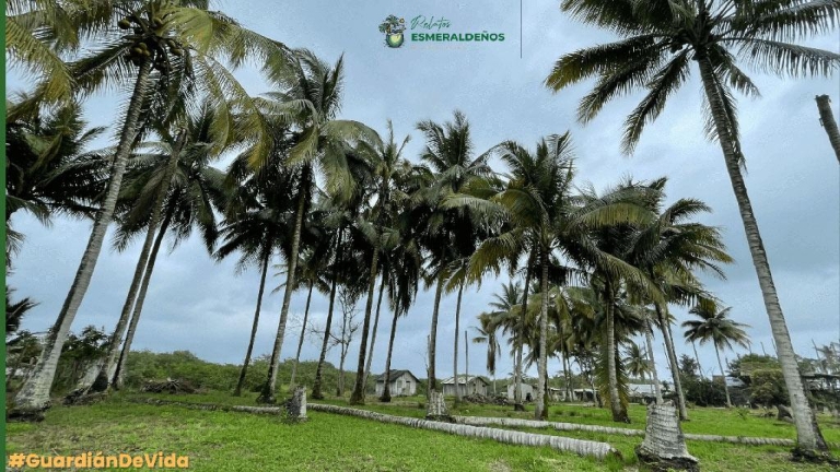 galeria-8-canton-muisne-esmeraldas